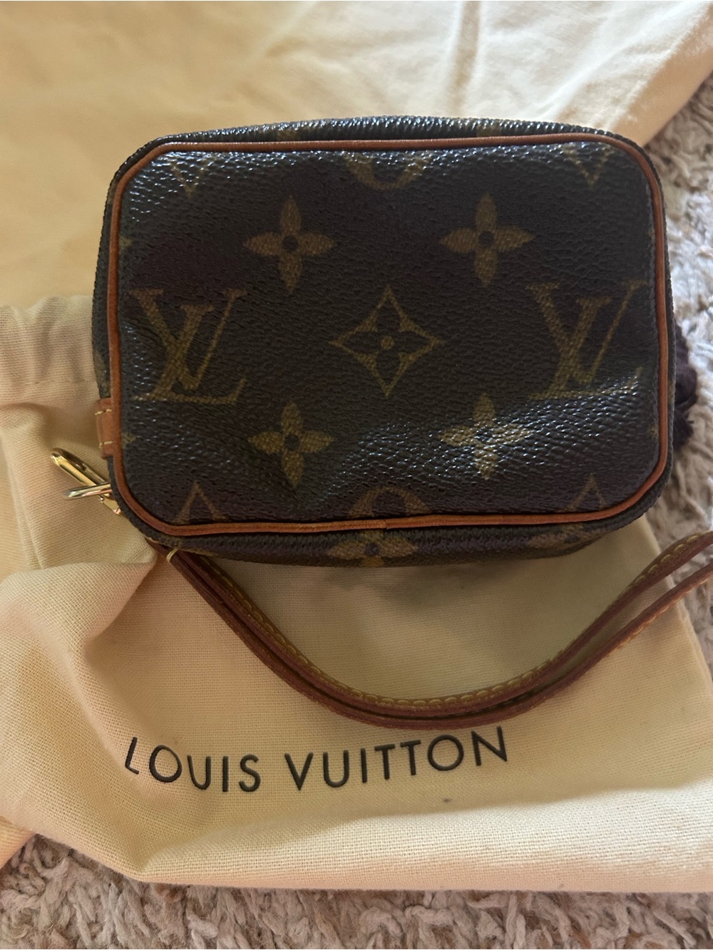 Louis Vuitton Monogram Wapity Mini Wristlet